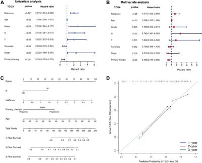 Ferroptosis-Related IncRNAs Are Prognostic Biomarker of Overall Survival in Pancreatic Cancer Patients